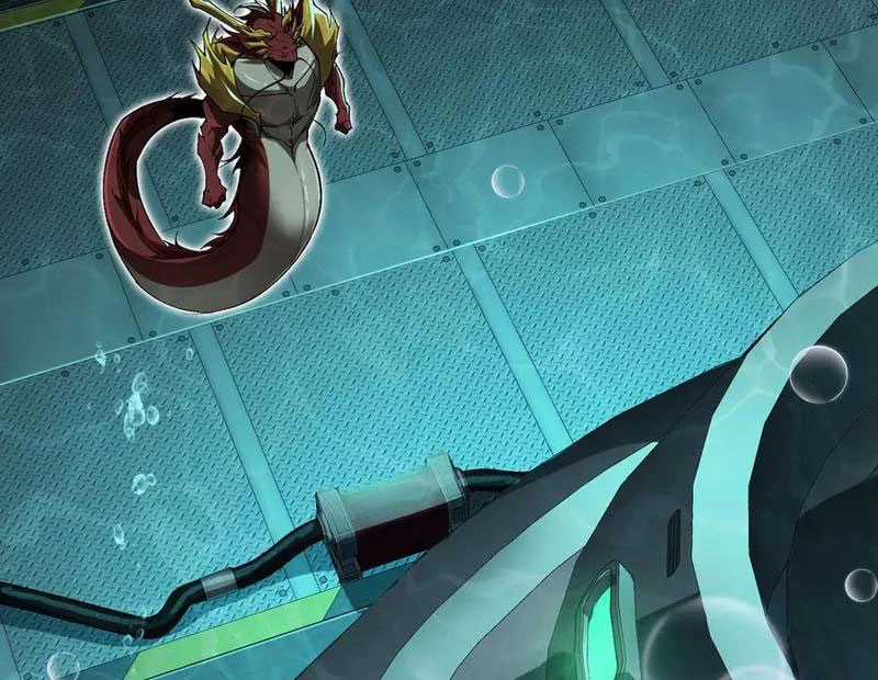 Linh Khí Khôi Phục: Từ Cá Chép Tiến Hoá Thành Thần Long Chapter 34 trang 99