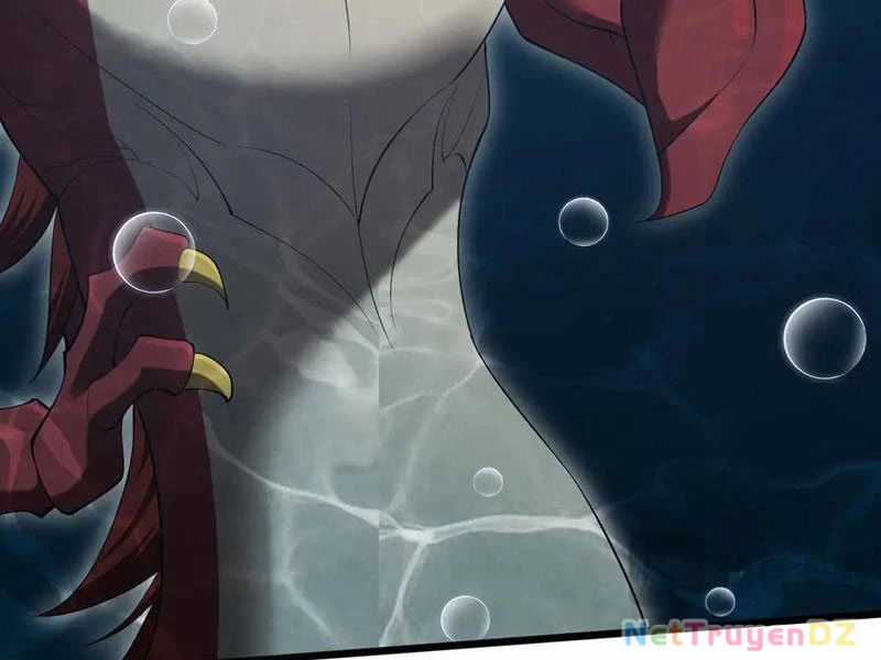 Linh Khí Khôi Phục: Từ Cá Chép Tiến Hoá Thành Thần Long Chapter 36 trang 68