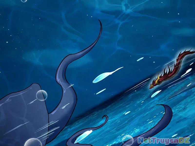 Linh Khí Khôi Phục: Từ Cá Chép Tiến Hoá Thành Thần Long Chapter 37 trang 116