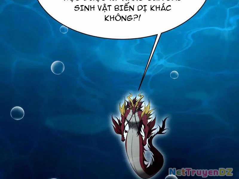 Linh Khí Khôi Phục: Từ Cá Chép Tiến Hoá Thành Thần Long Chapter 37 trang 146