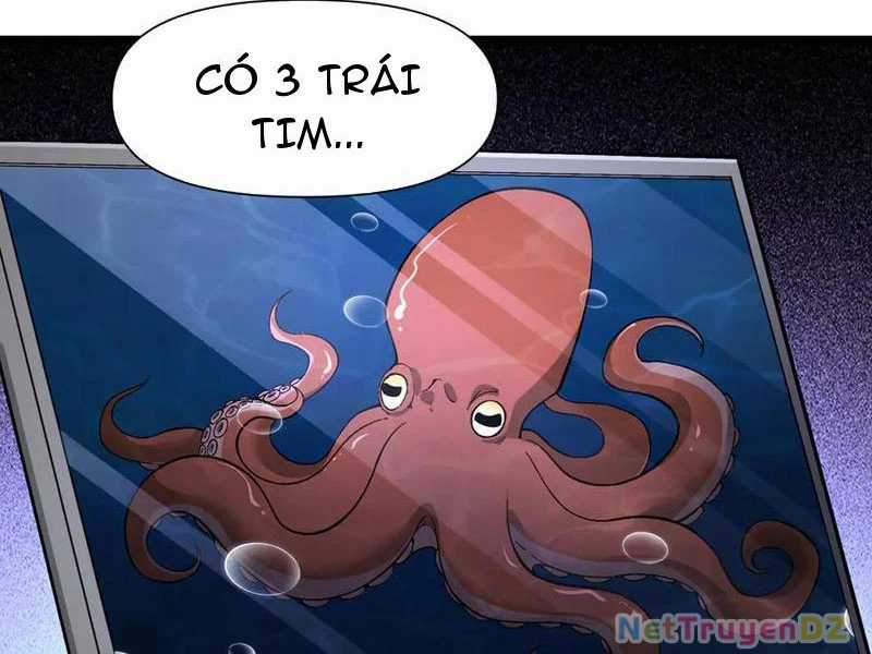 Linh Khí Khôi Phục: Từ Cá Chép Tiến Hoá Thành Thần Long Chapter 37 trang 2