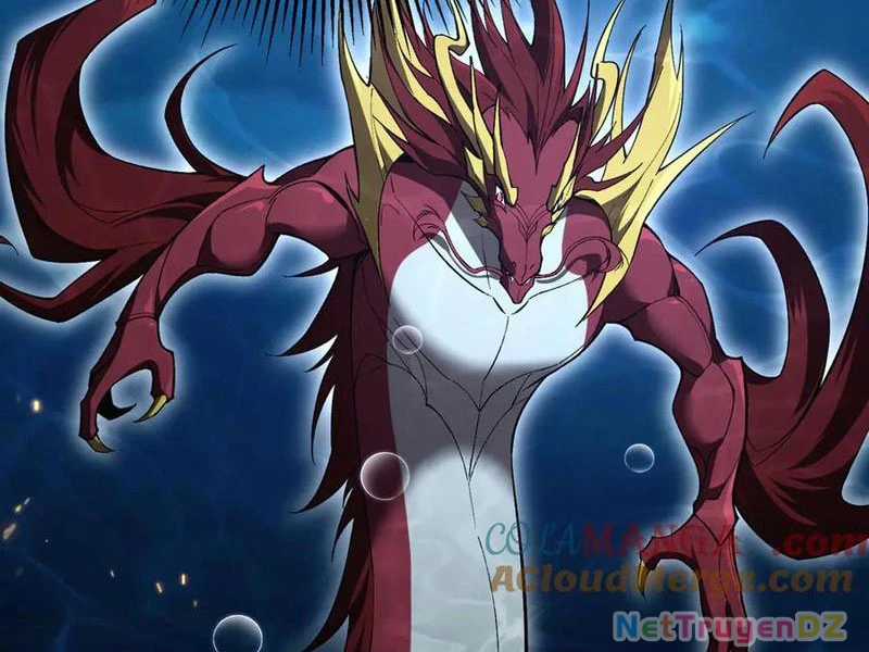 Linh Khí Khôi Phục: Từ Cá Chép Tiến Hoá Thành Thần Long Chapter 37 trang 20