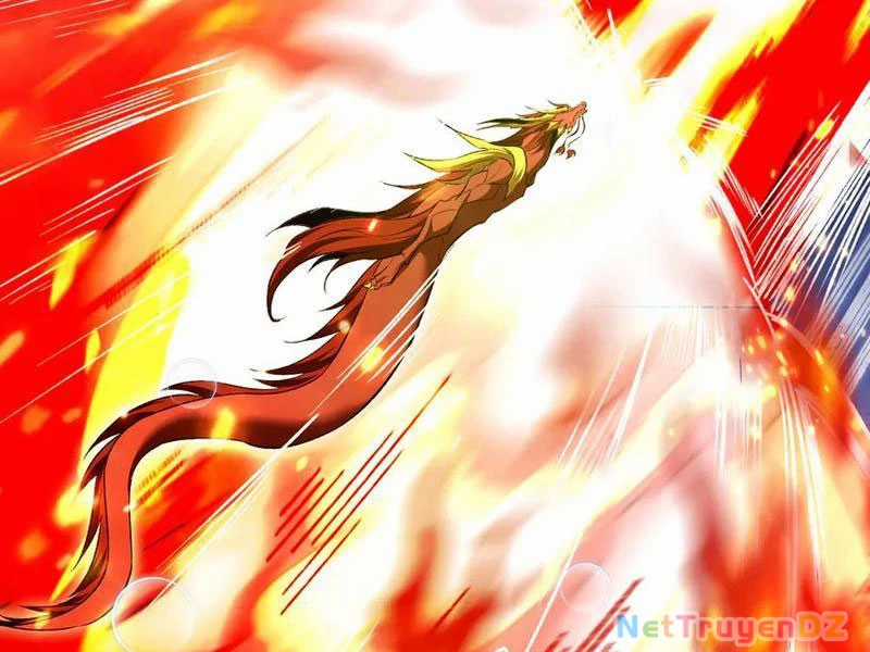 Linh Khí Khôi Phục: Từ Cá Chép Tiến Hoá Thành Thần Long Chapter 37 trang 94