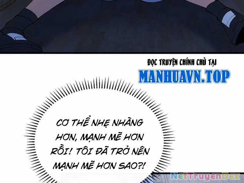 Linh Khí Khôi Phục: Từ Cá Chép Tiến Hoá Thành Thần Long Chapter 38 trang 134