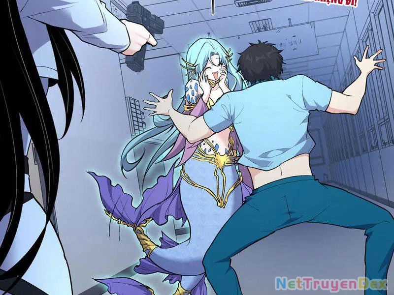 Linh Khí Khôi Phục: Từ Cá Chép Tiến Hoá Thành Thần Long Chapter 38 trang 43