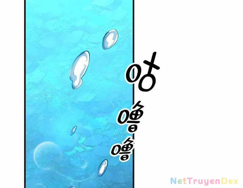 Linh Khí Khôi Phục: Từ Cá Chép Tiến Hoá Thành Thần Long Chapter 39 trang 135