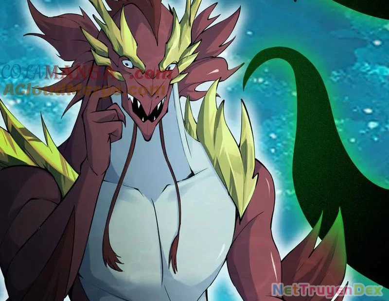 Linh Khí Khôi Phục: Từ Cá Chép Tiến Hoá Thành Thần Long Chapter 39 trang 150