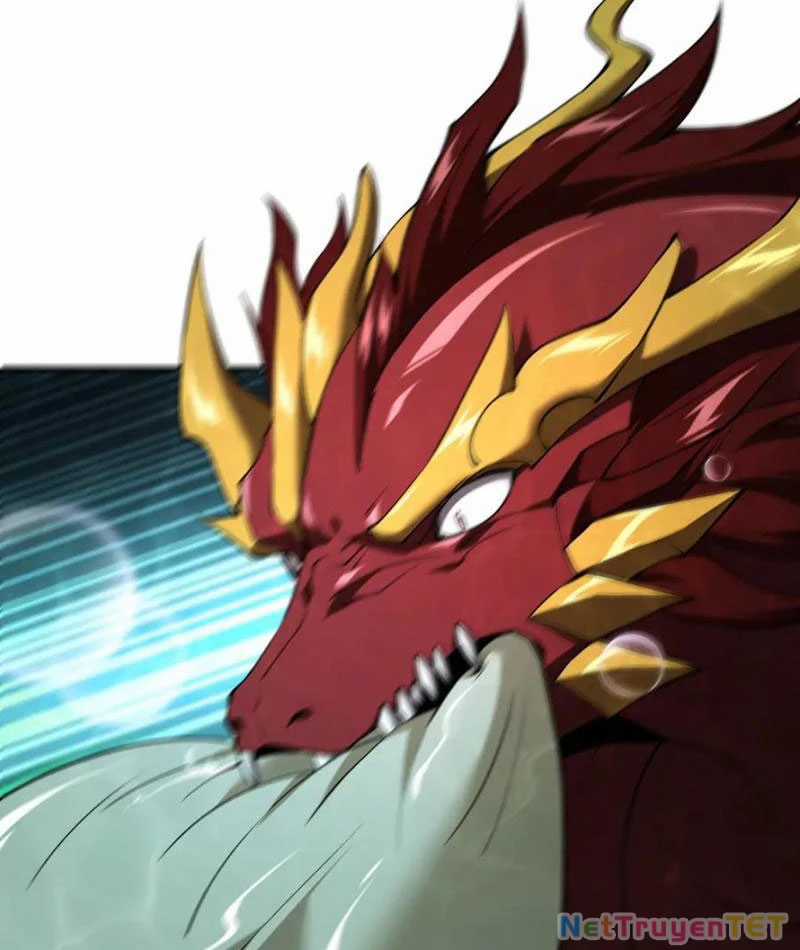 Linh Khí Khôi Phục: Từ Cá Chép Tiến Hoá Thành Thần Long Chapter 40 trang 12