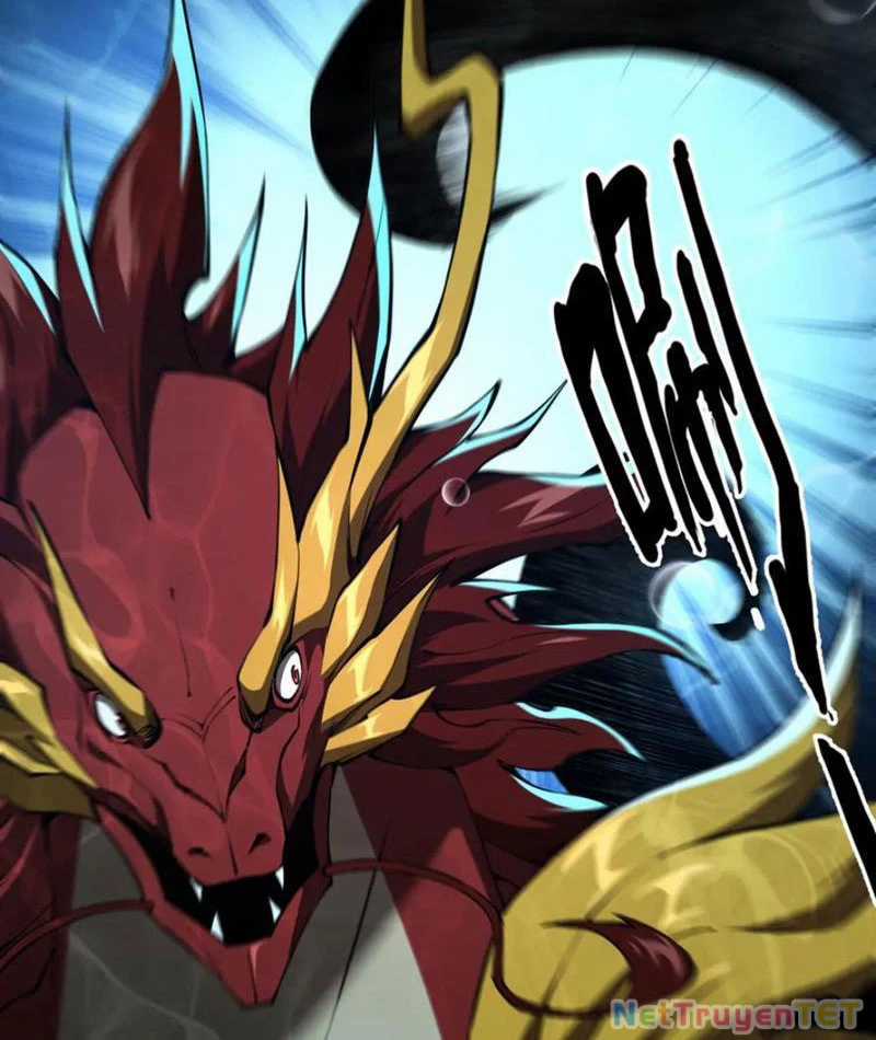 Linh Khí Khôi Phục: Từ Cá Chép Tiến Hoá Thành Thần Long Chapter 40 trang 17