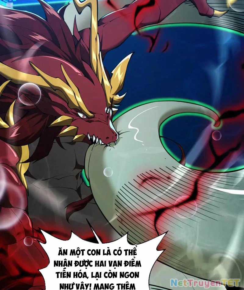 Linh Khí Khôi Phục: Từ Cá Chép Tiến Hoá Thành Thần Long Chapter 40 trang 19