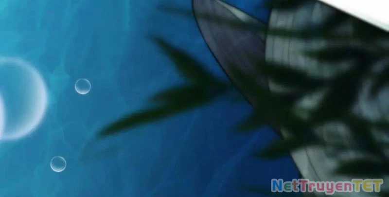 Linh Khí Khôi Phục: Từ Cá Chép Tiến Hoá Thành Thần Long Chapter 40 trang 21