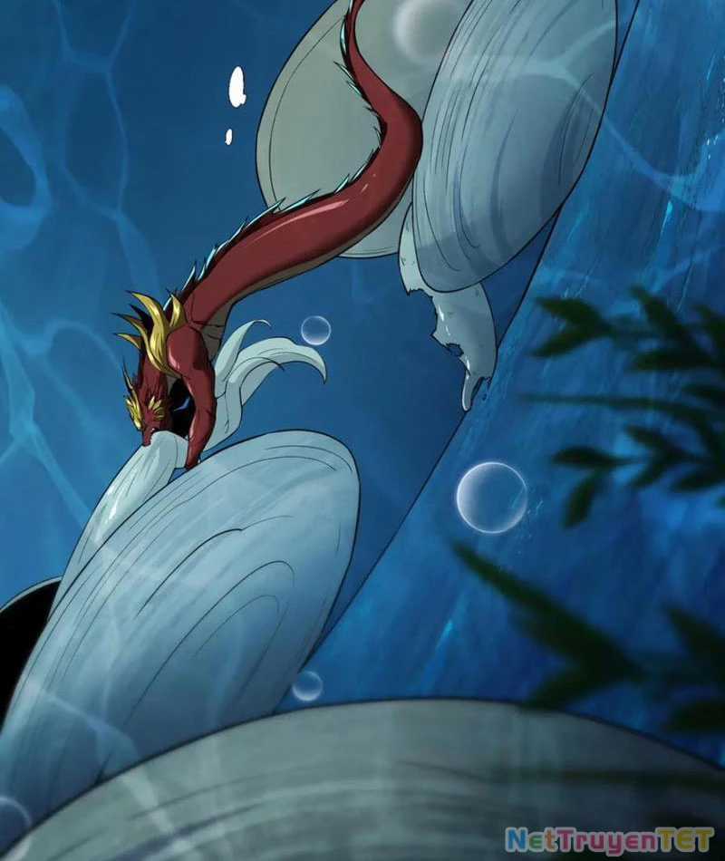 Linh Khí Khôi Phục: Từ Cá Chép Tiến Hoá Thành Thần Long Chapter 40 trang 23