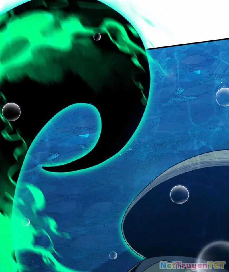 Linh Khí Khôi Phục: Từ Cá Chép Tiến Hoá Thành Thần Long Chapter 40 trang 25