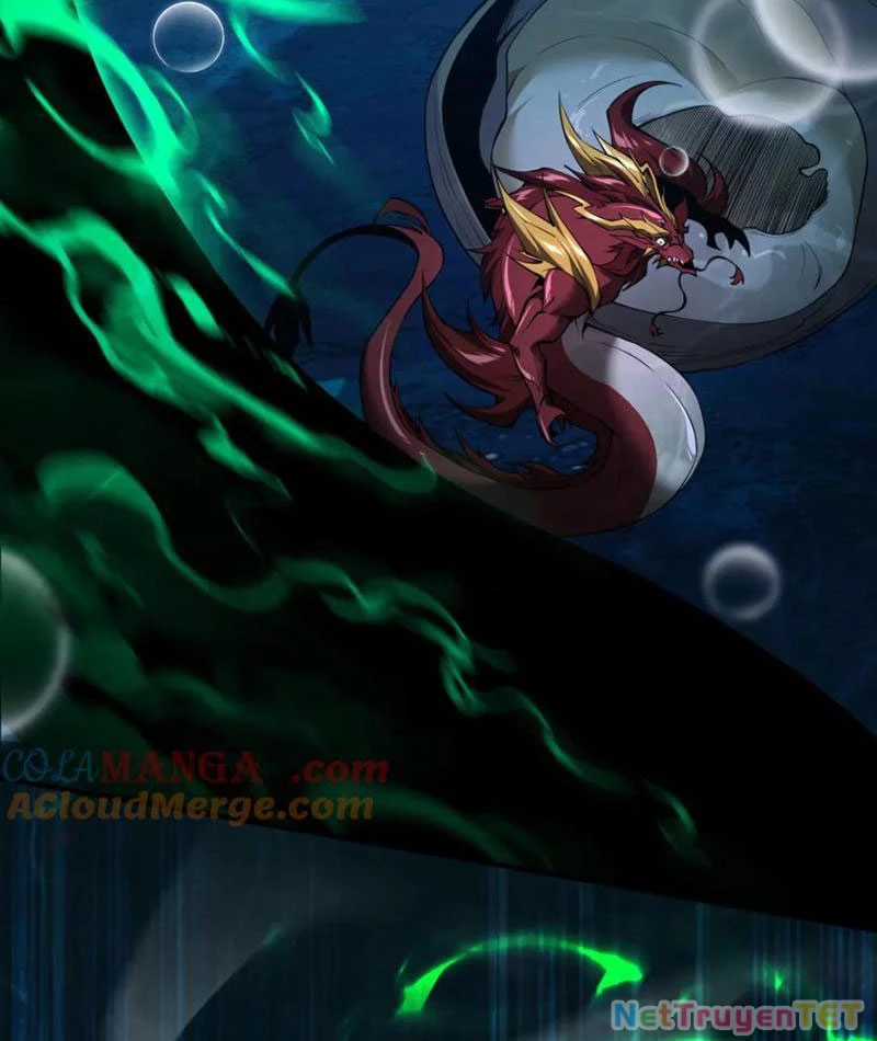 Linh Khí Khôi Phục: Từ Cá Chép Tiến Hoá Thành Thần Long Chapter 40 trang 26