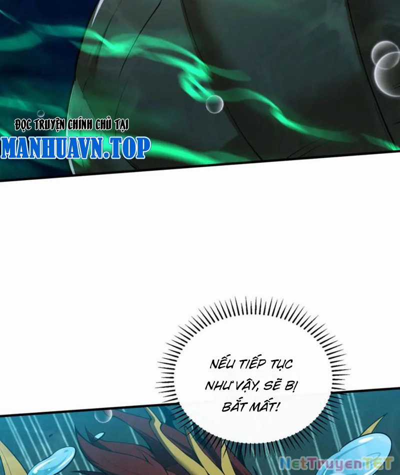 Linh Khí Khôi Phục: Từ Cá Chép Tiến Hoá Thành Thần Long Chapter 40 trang 49