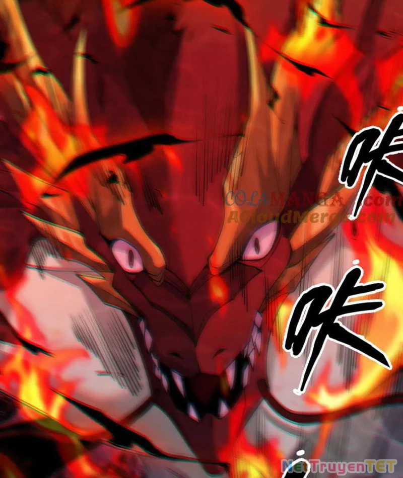 Linh Khí Khôi Phục: Từ Cá Chép Tiến Hoá Thành Thần Long Chapter 40 trang 5