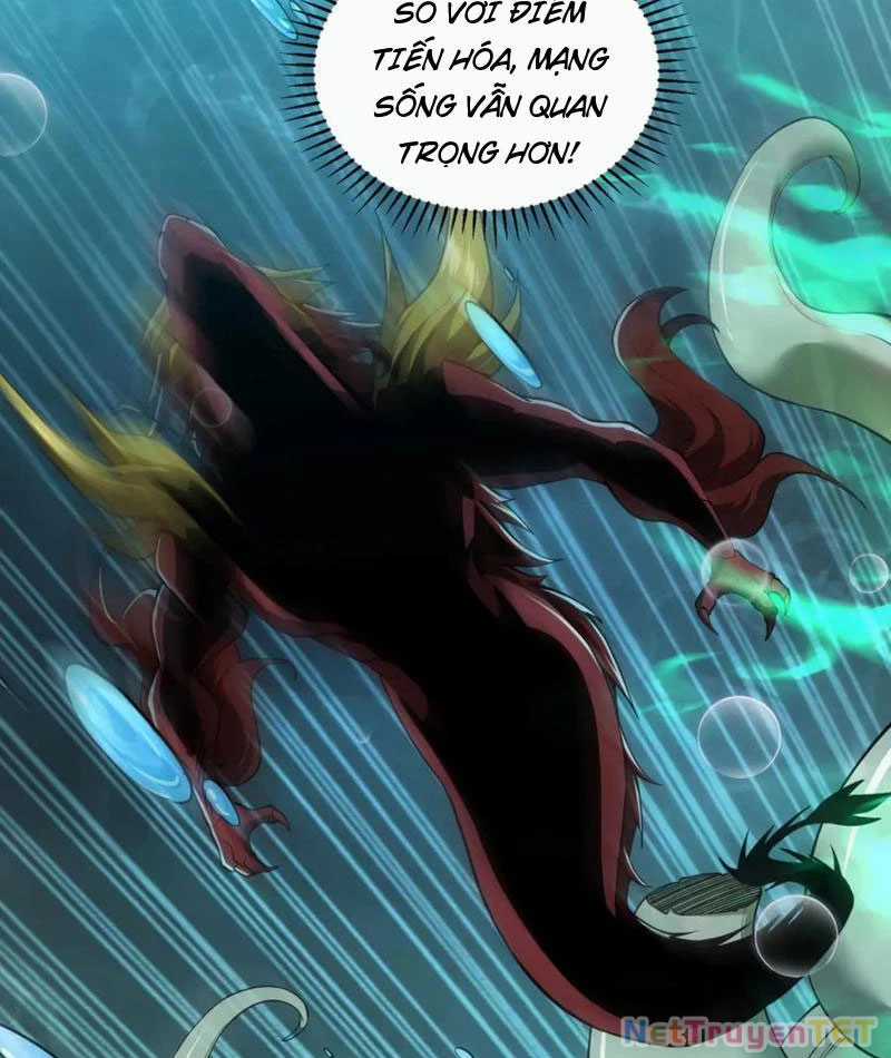 Linh Khí Khôi Phục: Từ Cá Chép Tiến Hoá Thành Thần Long Chapter 40 trang 51