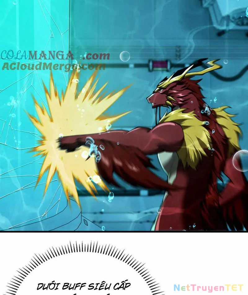 Linh Khí Khôi Phục: Từ Cá Chép Tiến Hoá Thành Thần Long Chapter 40 trang 66