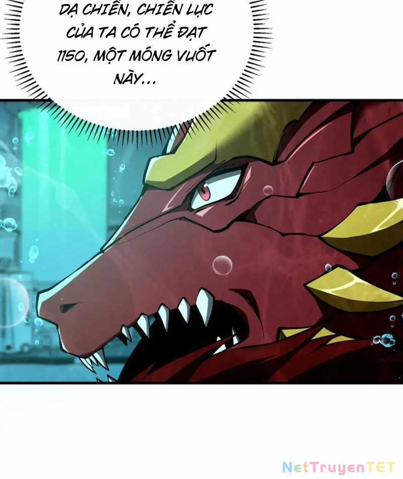 Linh Khí Khôi Phục: Từ Cá Chép Tiến Hoá Thành Thần Long Chapter 40 trang 67