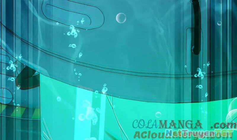 Linh Khí Khôi Phục: Từ Cá Chép Tiến Hoá Thành Thần Long Chapter 40 trang 71