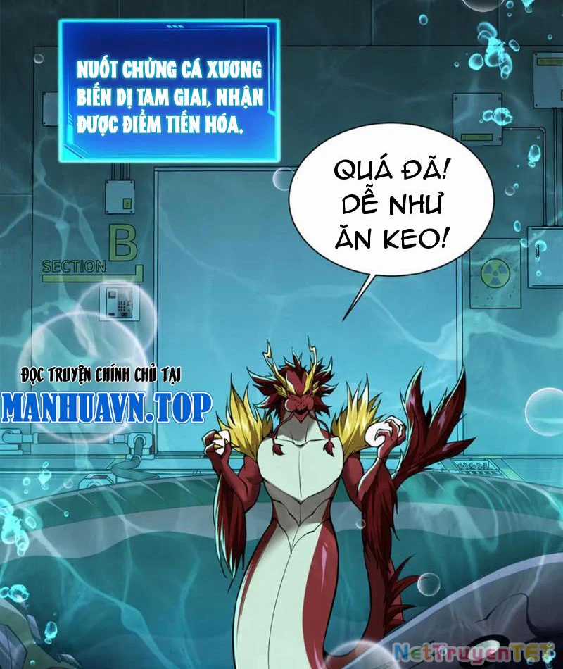 Linh Khí Khôi Phục: Từ Cá Chép Tiến Hoá Thành Thần Long Chapter 40 trang 91