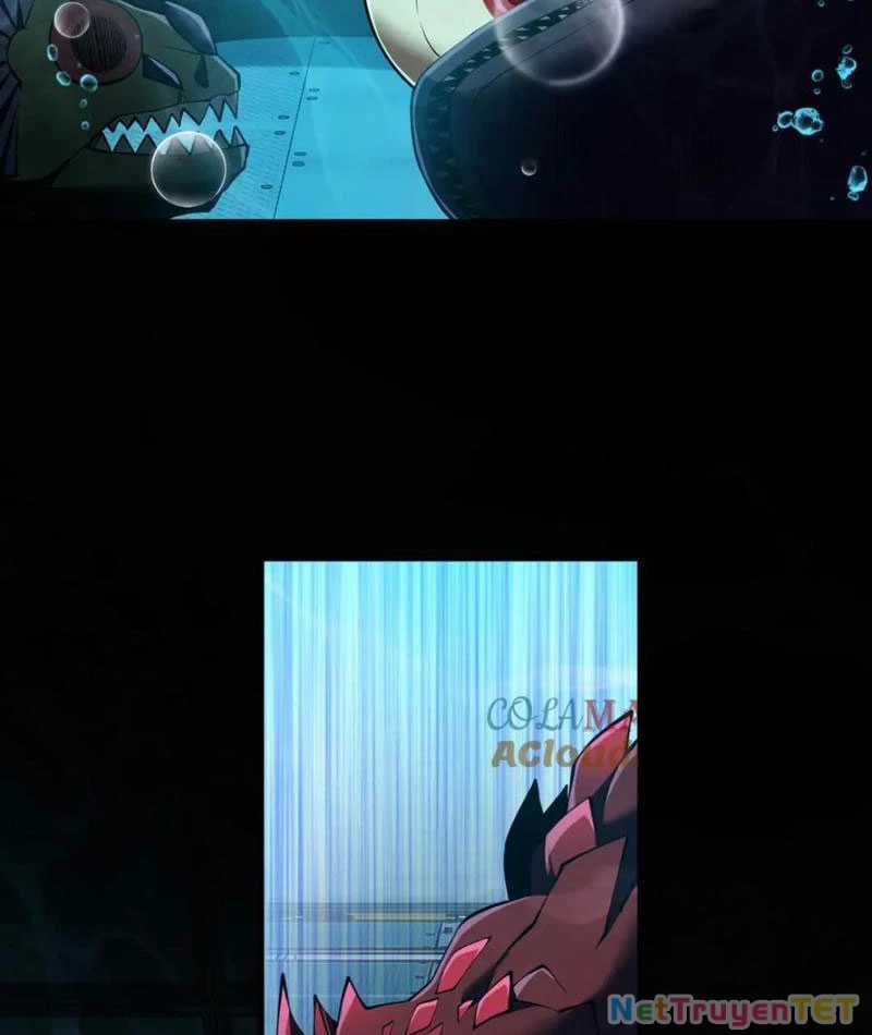 Linh Khí Khôi Phục: Từ Cá Chép Tiến Hoá Thành Thần Long Chapter 40 trang 92