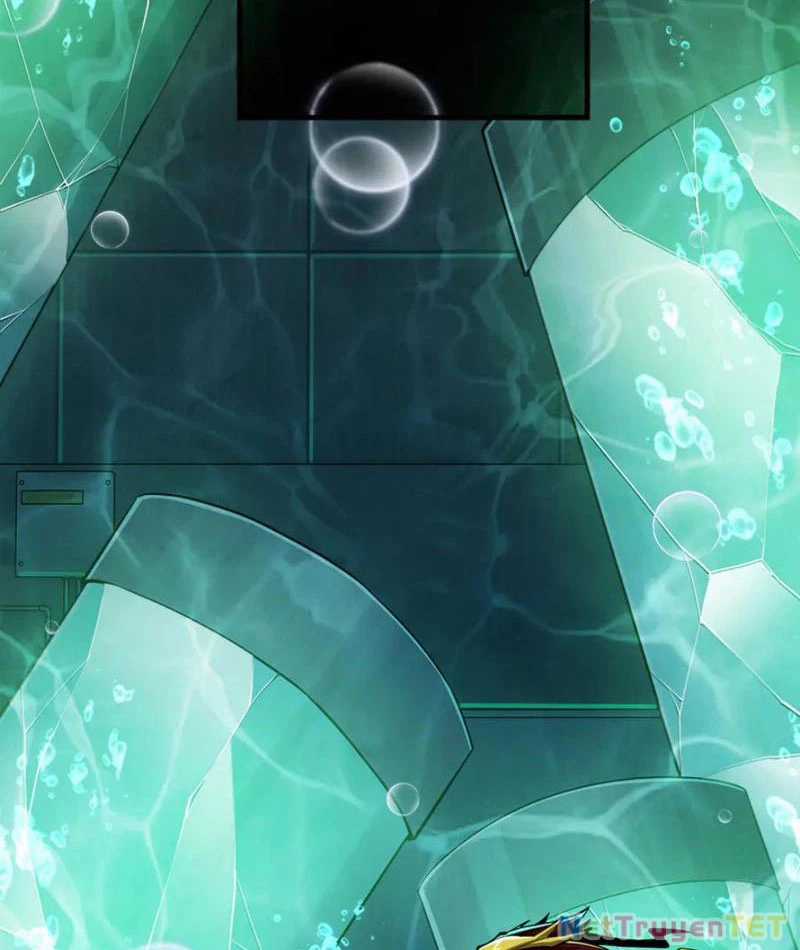 Linh Khí Khôi Phục: Từ Cá Chép Tiến Hoá Thành Thần Long Chapter 40 trang 94