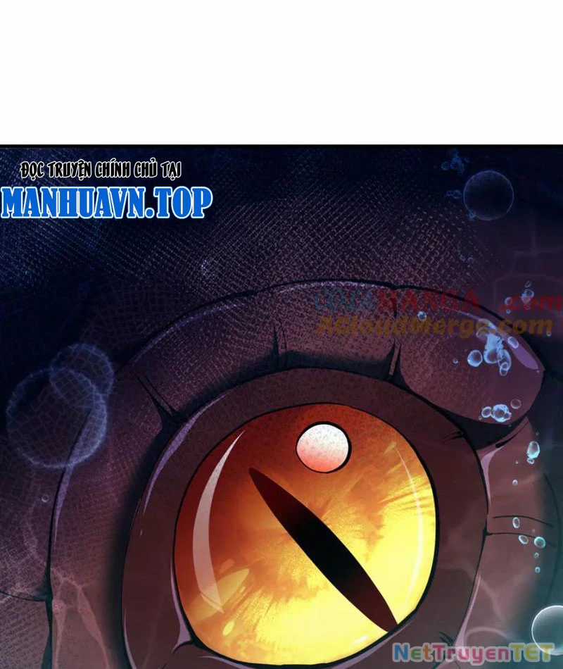 Linh Khí Khôi Phục: Từ Cá Chép Tiến Hoá Thành Thần Long Chapter 40 trang 98