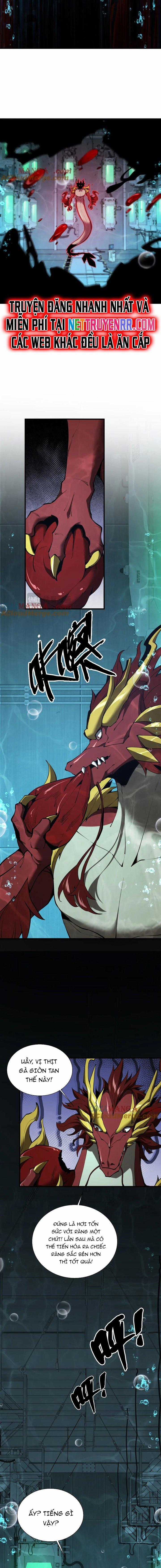 Linh Khí Khôi Phục: Từ Cá Chép Tiến Hoá Thành Thần Long Chapter 41 trang 10