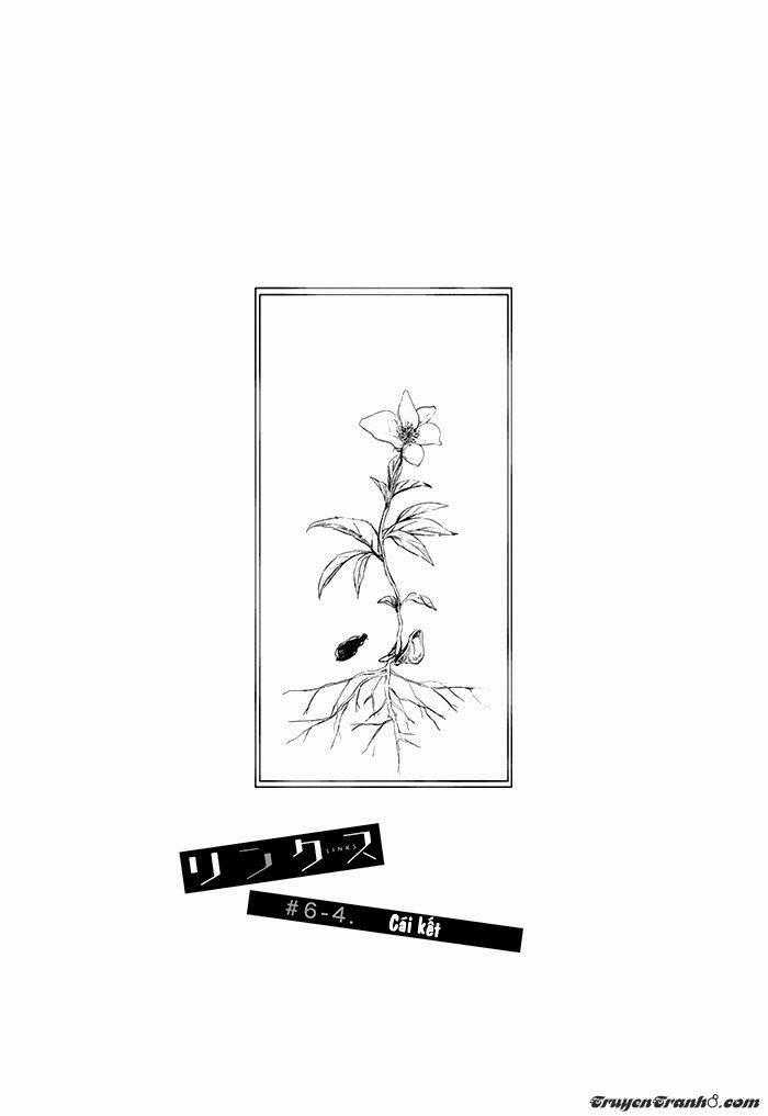 Links Chapter 6.4 trang 1