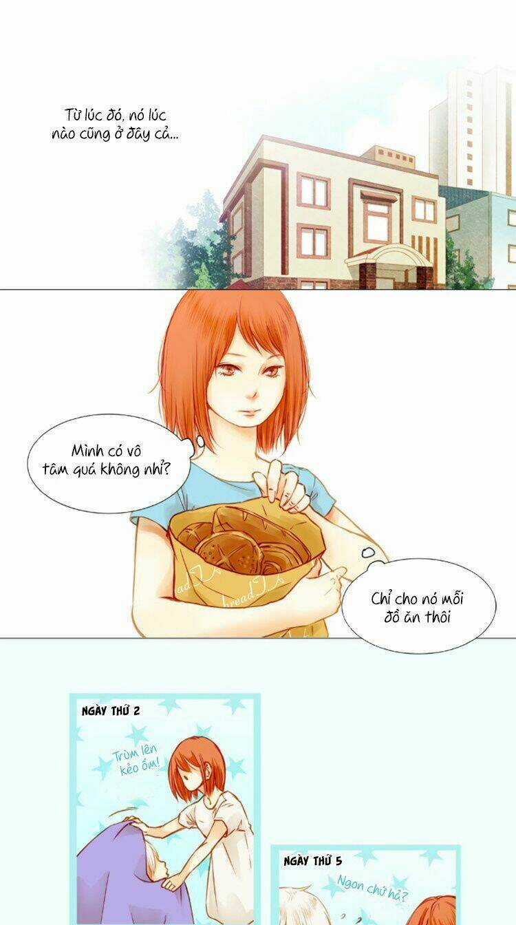 Little Rain Chapter 1 trang 10