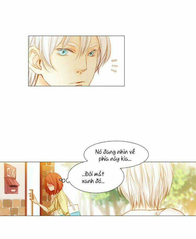 Little Rain Chapter 1 trang 7