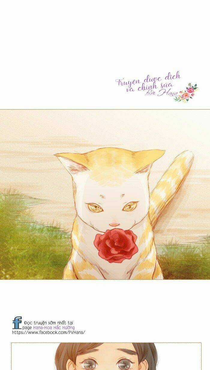 Little Rain Chapter 10 trang 48