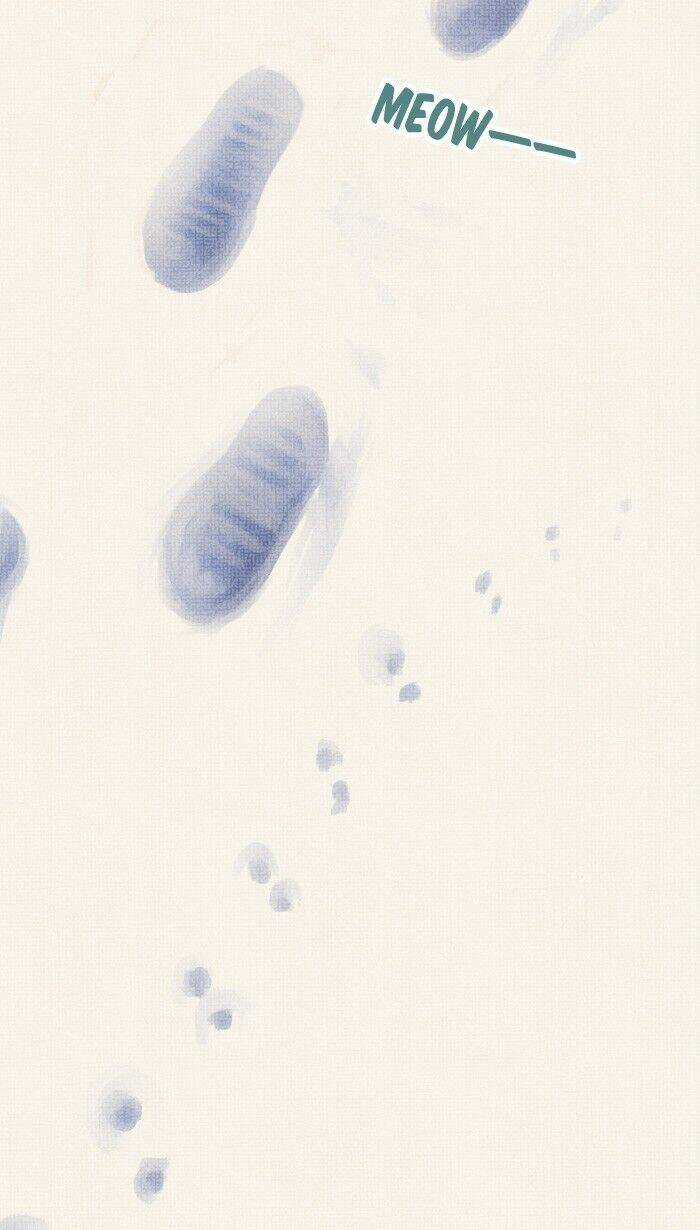 Little Rain Chapter 12.5 trang 39