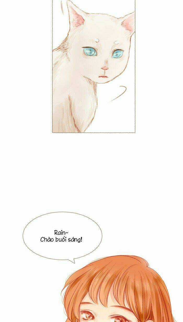 Little Rain Chapter 13 trang 5