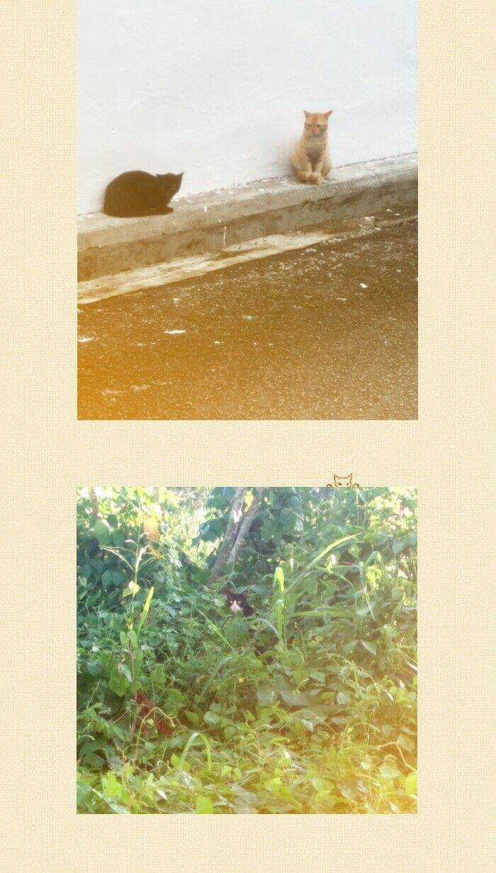 Little Rain Chapter 14.5 trang 23