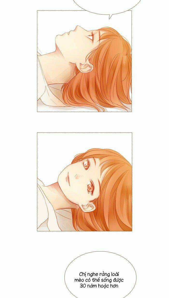 Little Rain Chapter 14 trang 41