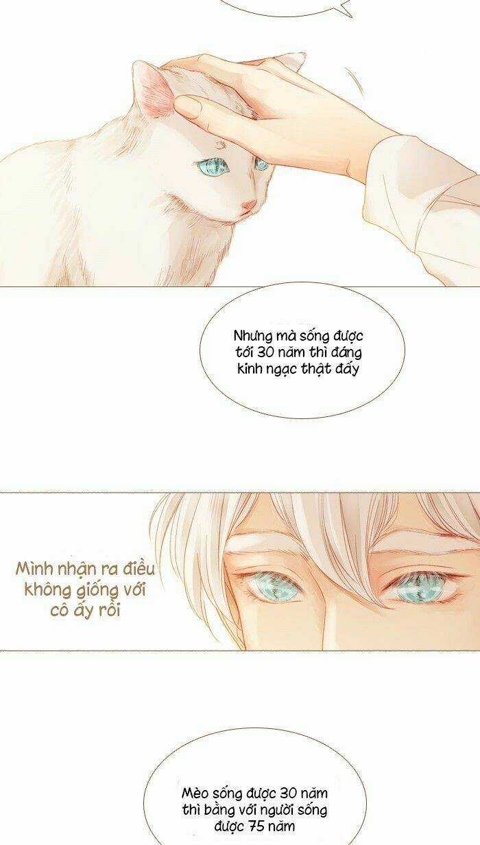 Little Rain Chapter 14 trang 42