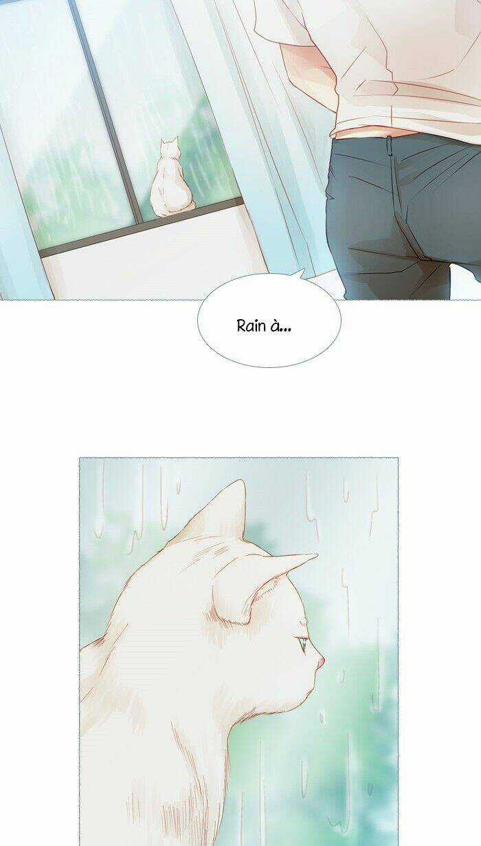 Little Rain Chapter 15 trang 20