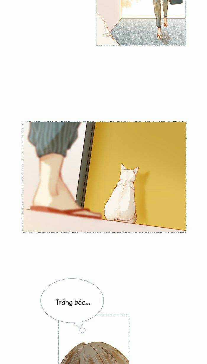 Little Rain Chapter 17 trang 4