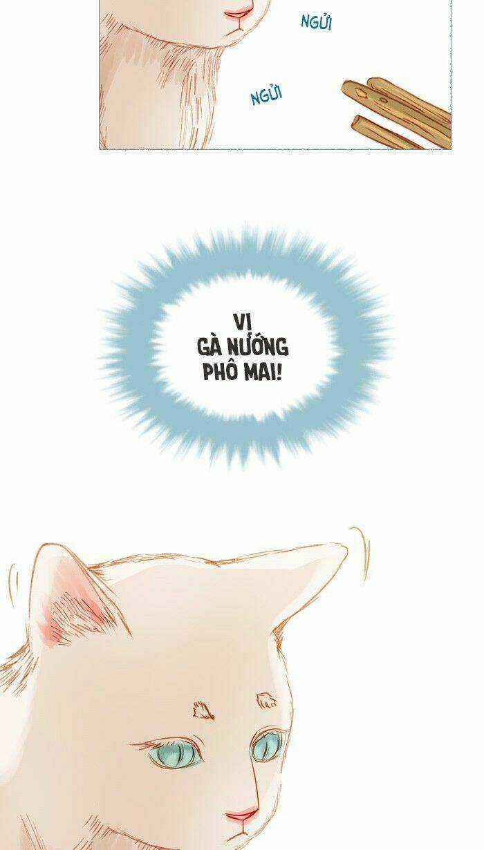 Little Rain Chapter 17 trang 7