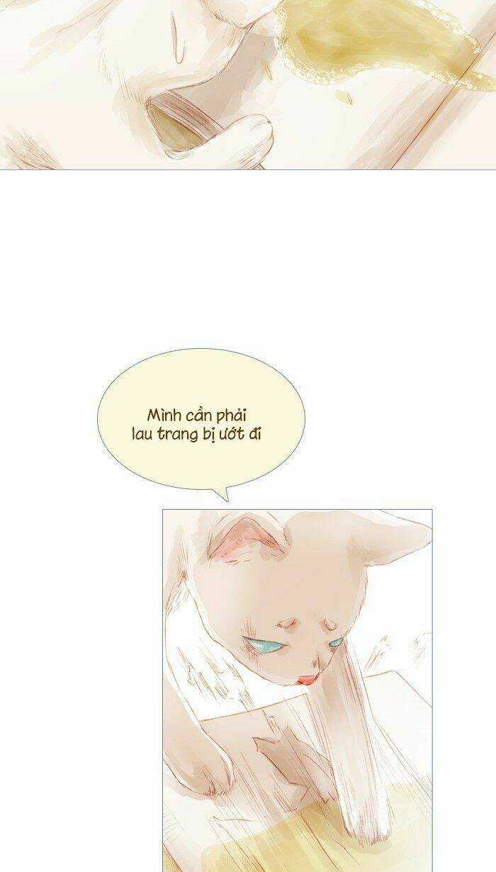 Little Rain Chapter 19 trang 37