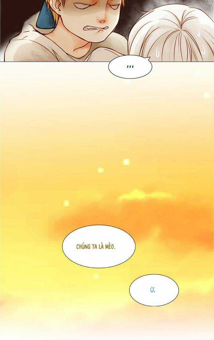 Little Rain Chapter 2 trang 11