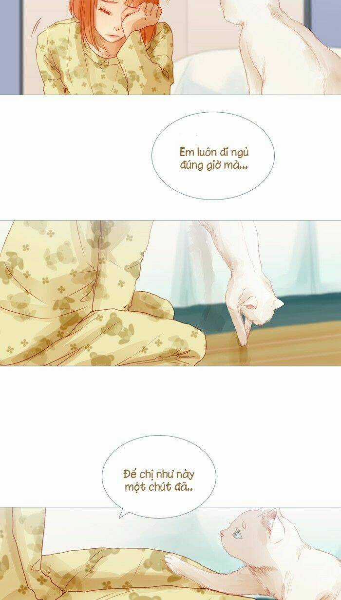 Little Rain Chapter 20 trang 12