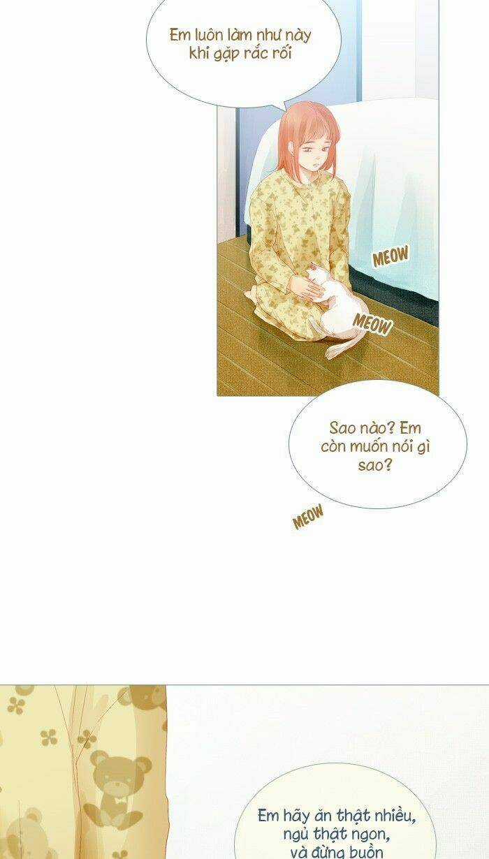 Little Rain Chapter 20 trang 14