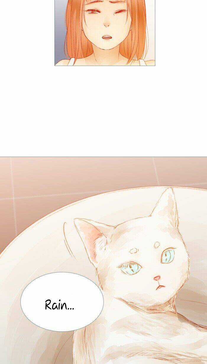 Little Rain Chapter 22 trang 14