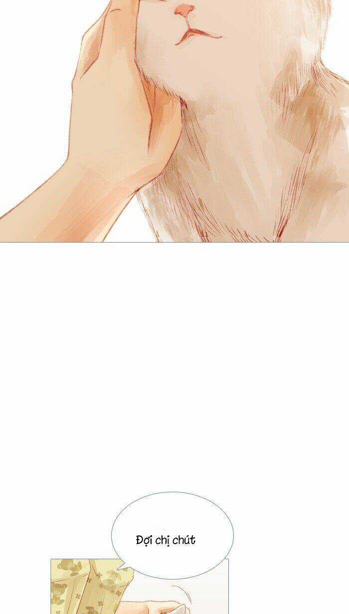 Little Rain Chapter 22 trang 19