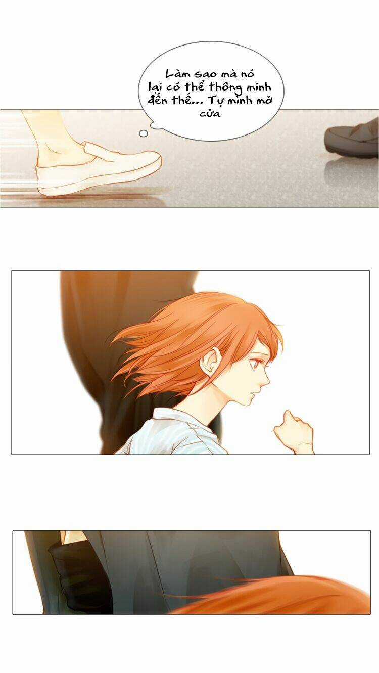 Little Rain Chapter 3 trang 23