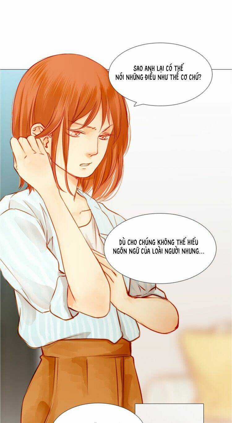 Little Rain Chapter 4 trang 15