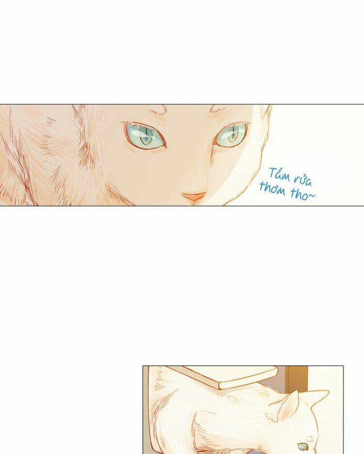 Little Rain Chapter 6 trang 38